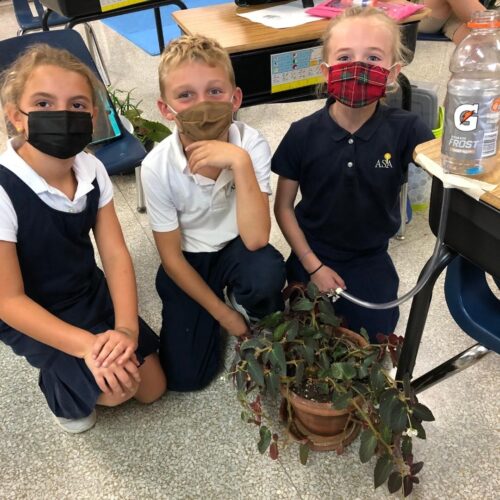kids-with-class-with-plants-image